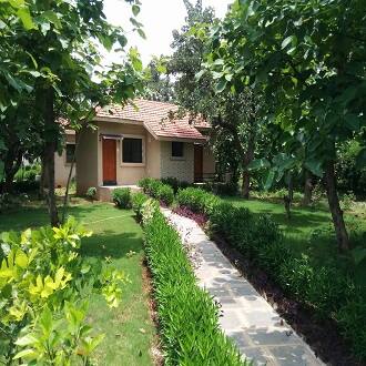 Olive Resorts- Pench, Seoni 3